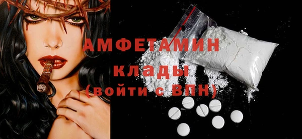 индика Дмитров