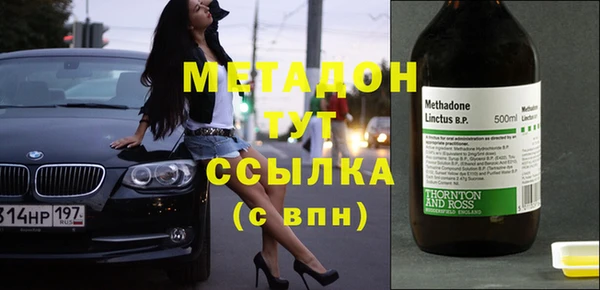 индика Дмитров