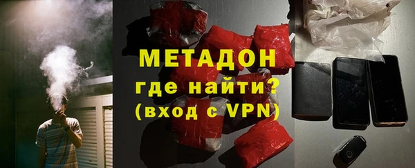 индика Дмитров