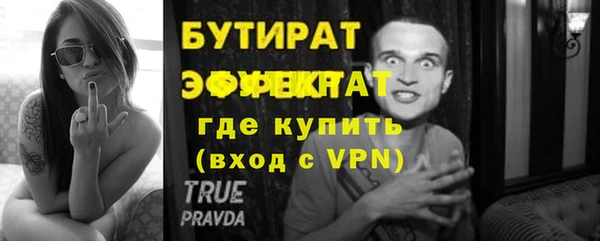 индика Дмитров