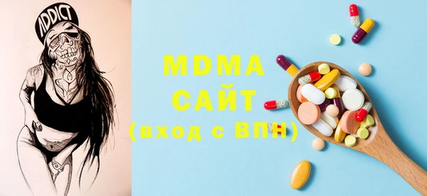 индика Дмитров