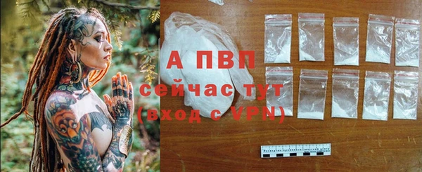мяу мяу мука Дмитриев