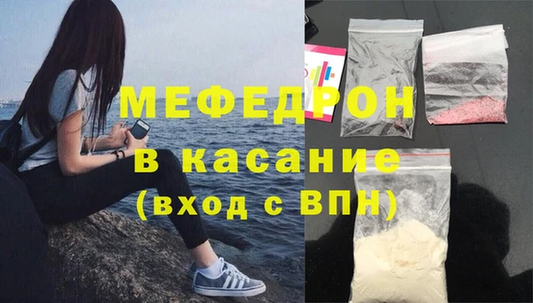 индика Дмитров