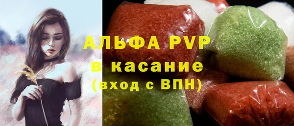 индика Дмитров