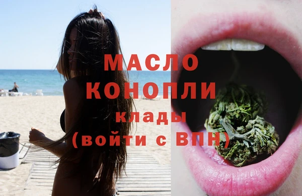индика Дмитров