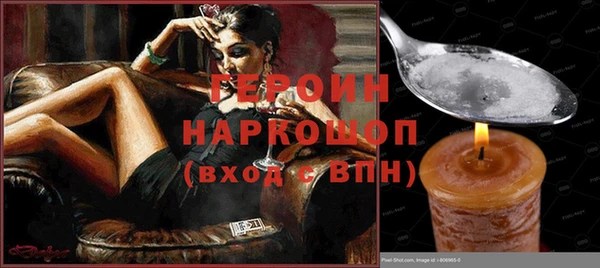 индика Дмитров