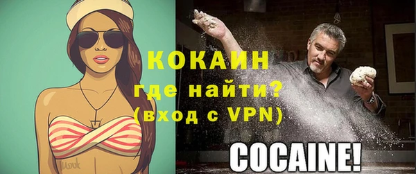 мяу мяу мука Дмитриев