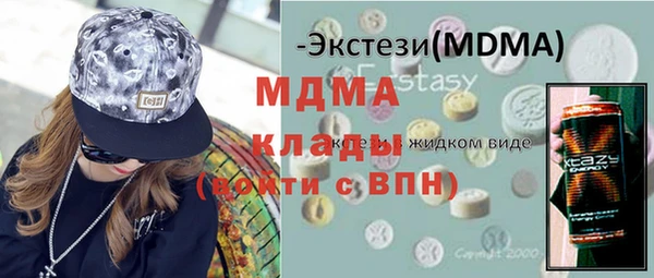индика Дмитров
