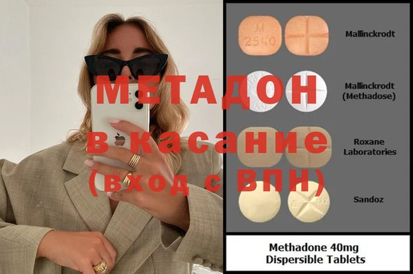 индика Дмитров