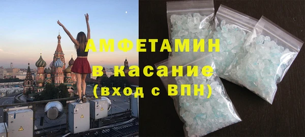 индика Дмитров