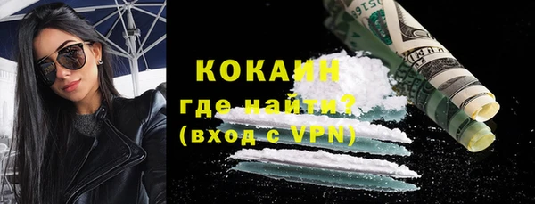 индика Дмитров