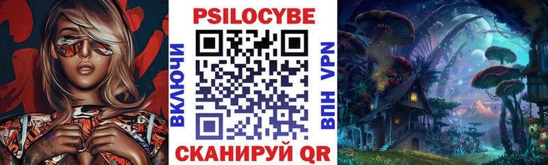 Купить закладки  Химки  Галлюциногенные грибы Cubensis 