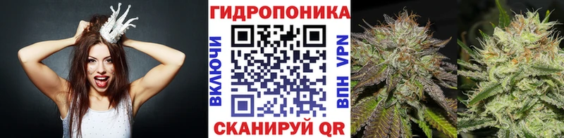 Купить закладки  Химки  Конопля VHQ 